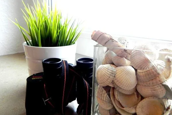 Wohnzimmer in der Ferienwohnung Jessen´s Wattblick in Wittdün auf Amrum  Ferienwohnung *Jessen´s Wattblick*