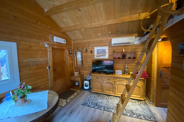  Schwalbennest Wieck - 