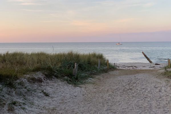  Zur Wellenwiese 22a Wohnung Vogelsang Zingst - Strand