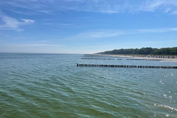  Zur Wellenwiese 22a Wohnung Vogelsang Zingst - Strand