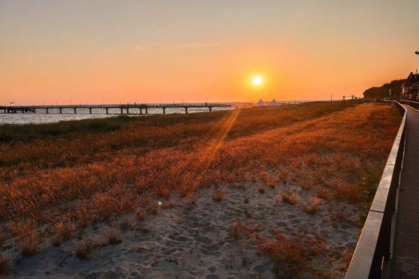  Zur Wellenwiese 22a Wohnung Vogelsang Zingst - Strand