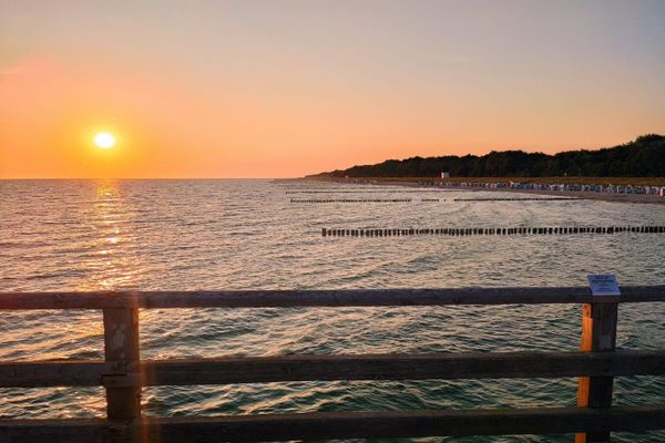  Zur Wellenwiese 22a Wohnung Vogelsang Zingst - Strand