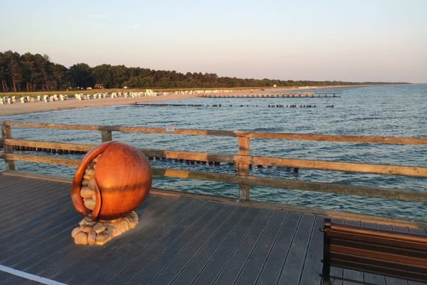  Zur Wellenwiese 22a Wohnung Vogelsang Zingst - Strand