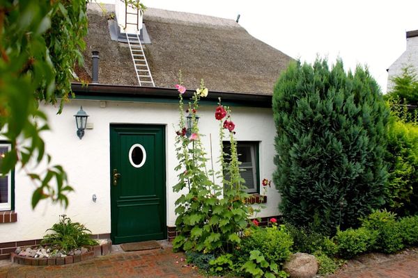  Birkenstraße 10 Fischerhus Zingst - Hauptansicht