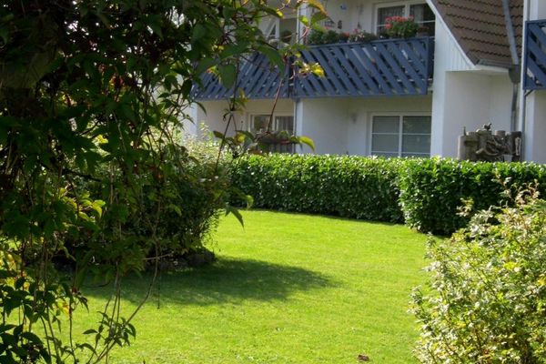  Birkenstraße 15b Wohnung 11 Zingst - Hauptansicht