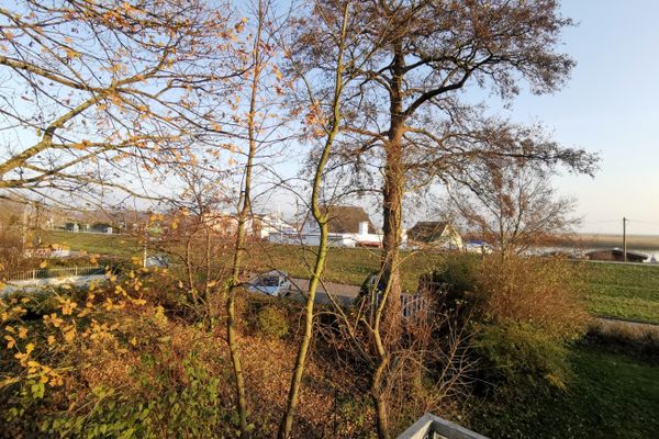 Boddenkieker Wohnung 20 Zingst - Dekoratives Detail