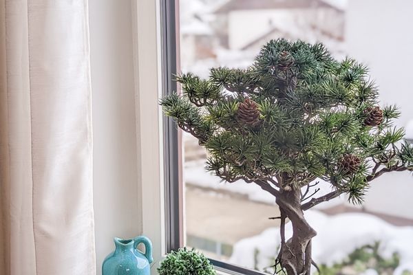  Ferienwohnung Foetibus Ferienwohnungen in Füssen - Wohnzimmer