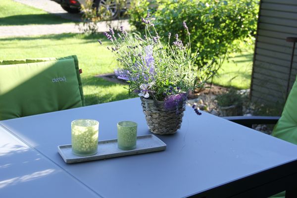 Zur Heiderose Haus 5 Sorgenfrei Zingst - Terrasse