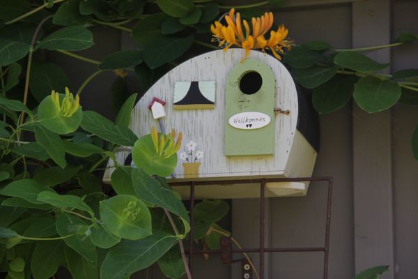 Zur Heiderose Haus 5 Sorgenfrei Zingst - Dekoratives Detail