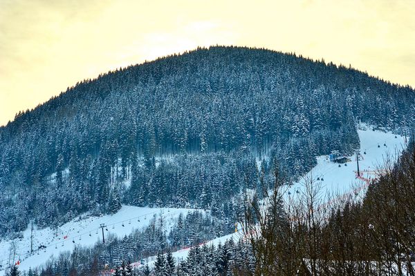 Forststraße Appartement Snowmountain Zell am See - Berge