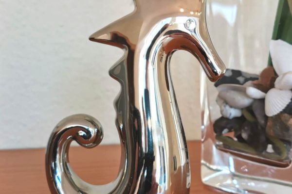  Lindenstraße 43 Wohnung 6 Mein Seepferdchen Zingst - Dekoratives Detail