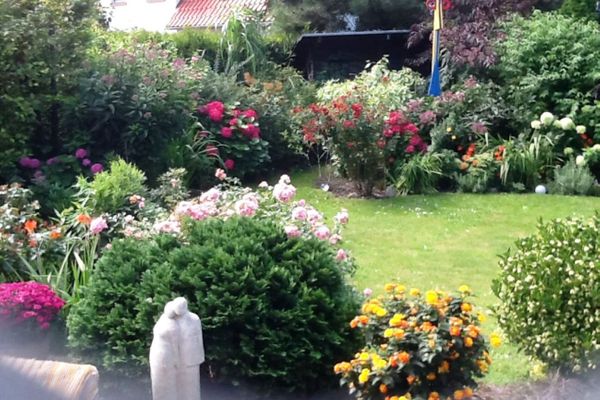  Ferienwohnung Malvenhaus Zingst - Garten