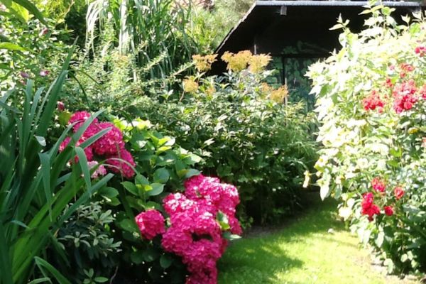  Ferienwohnung Malvenhaus Zingst - Garten