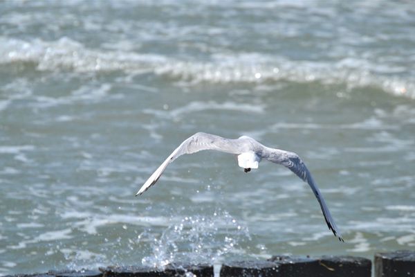  Martha-Müller-Grählert-Weg 6 Wohnung 8 Zingst - Strand