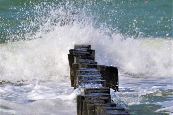  Martha-Müller-Grählert-Weg 6 Wohnung 8 Zingst - Strand
