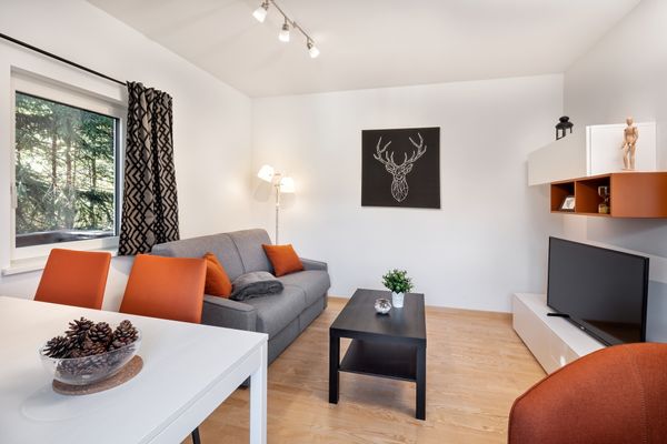  Mozart Apartment 2  - Wohnzimmer
