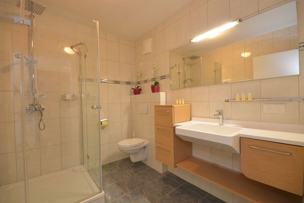  Mountain View  - Badezimmer