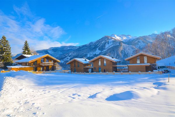 Ski-In/Ski-Out Chalet am Maiskogel Bergli Kaprun - Neighbourhood