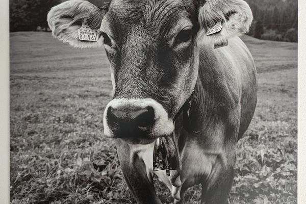 Chalet am Breitenberg Appartement CB 11 Ferienwohnungen in Pfronten - Dekoratives Detail