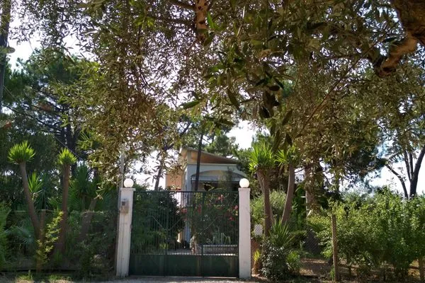 Hauptansicht  Matina 1