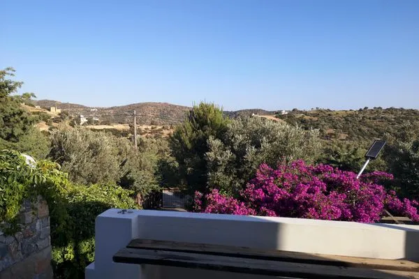 Gartenblick  Blue Stone