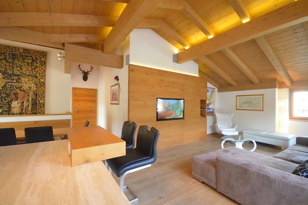  Appartement Diana Zell am See - Living room