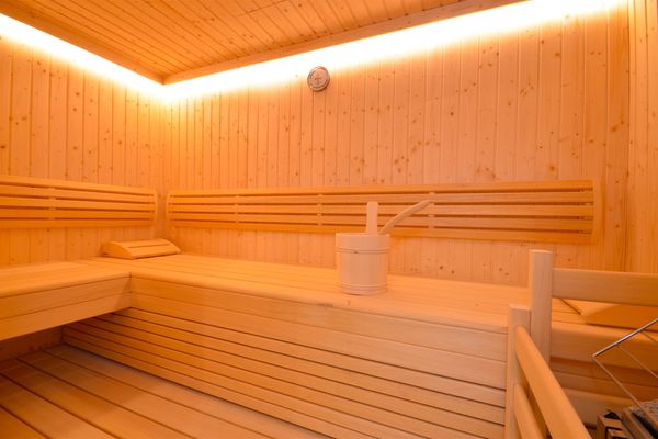  Chalet Maiskogel 13a  - Sauna