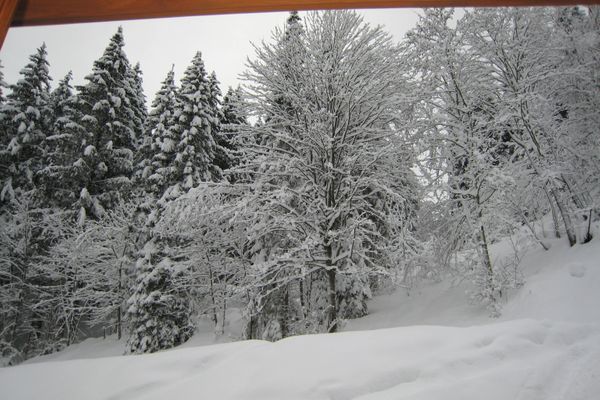  Chalet Kriekels Zell am See - Landschaft