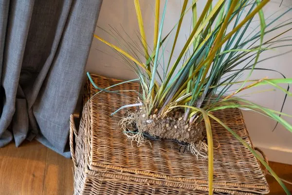 Ferienhaus Kirchenstraße Appartement Achtern Diek EG SPO Ording - 