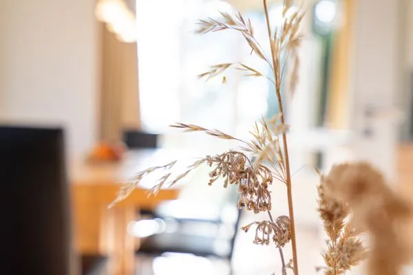 Wohnzimmer Wohnpark am Mühlenteich Ferienwohnung Nr. 29