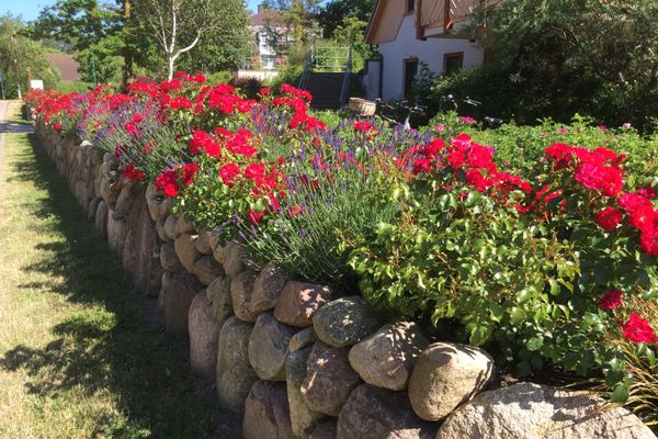 OEWERN DIEK Haus Waderkierl, App. 30 Ostseebad Wustrow - 