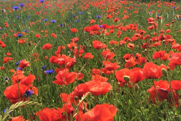 OEWERN DIEK Haus Waderkierl, App. 30 Ostseebad Wustrow - 