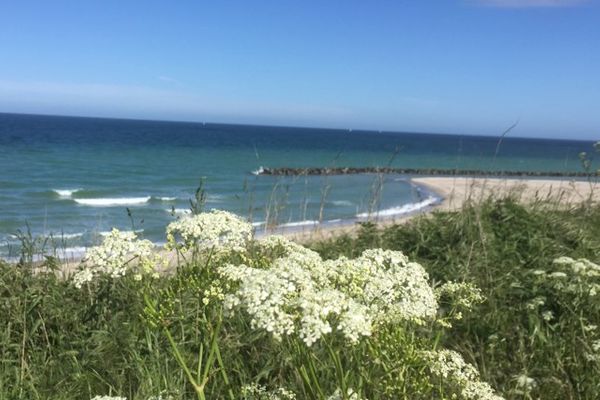 OEWERN DIEK Haus Waderkierl, App. 34 Ostseebad Wustrow - 