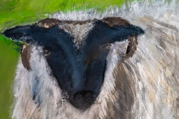 Reetdachhaus Dünenkoog Reetdachhaus Dünenkoog SPO Umland - 