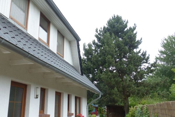  Darßer Weg 7 Wohnung 3 Zingst - Fassade / Eingang