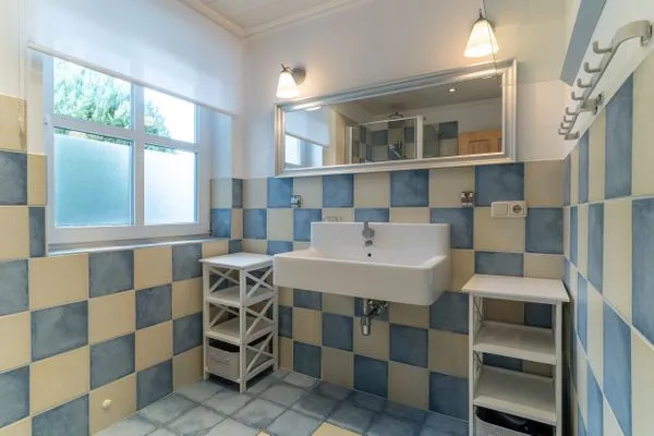 Haubarg Reetdachhaus Lüttje Haubarg SPO Dorf - 