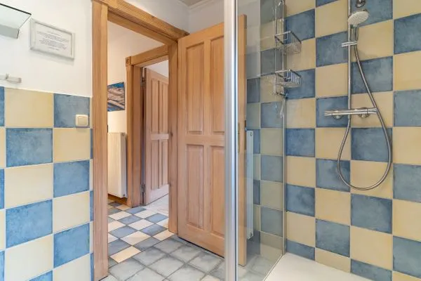 Haubarg Reetdachhaus Lüttje Haubarg SPO Dorf - 