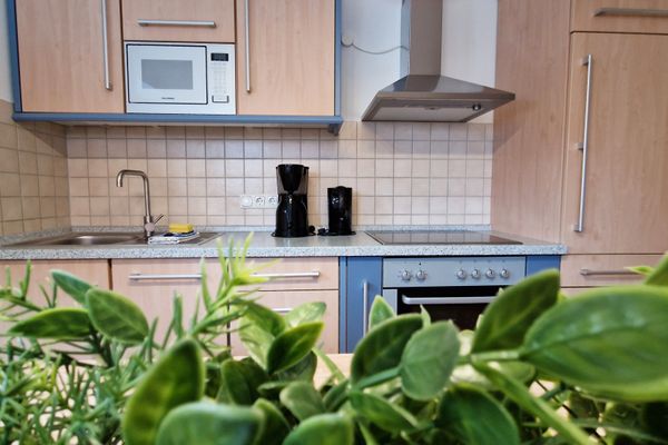  Strandmuschel Kühlungsborn - 