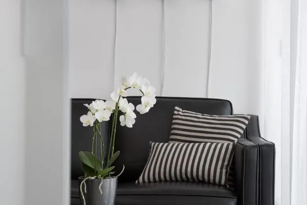 Sofa Ferienwohnung Aalto in Wittdün auf Amrum Amrumer Welle Ferienwohnung „Aalto"