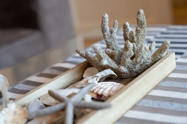 Friesenhof Dreilanden Friesenhof Appartement 7 SPO Ording - 