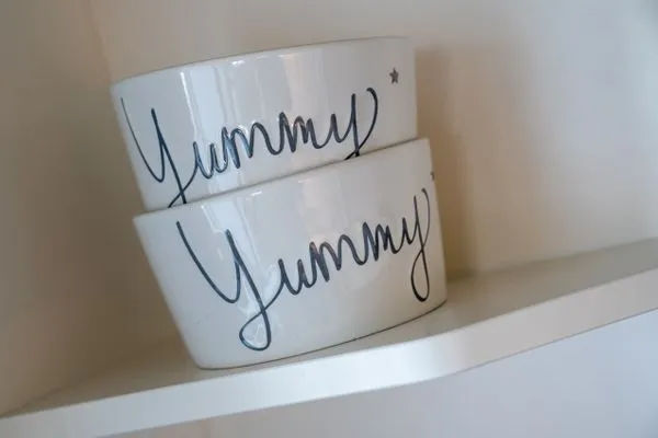 Friesenhof Dreilanden Friesenhof Appartement 5 SPO Ording - 