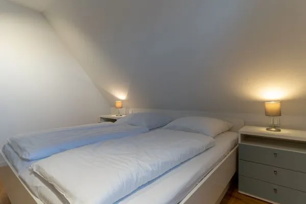 Ferienhaus Westwind Einzelhaus Westwind SPO Ording - 