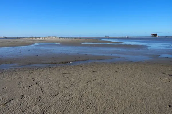 Reetdachhaus Wattenmeer Reetdachhaus Wattenmeer SPO Ording - 
