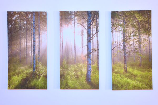 Apartments Bruckbergweg GolfSki Zell am See - Dekoratives Detail