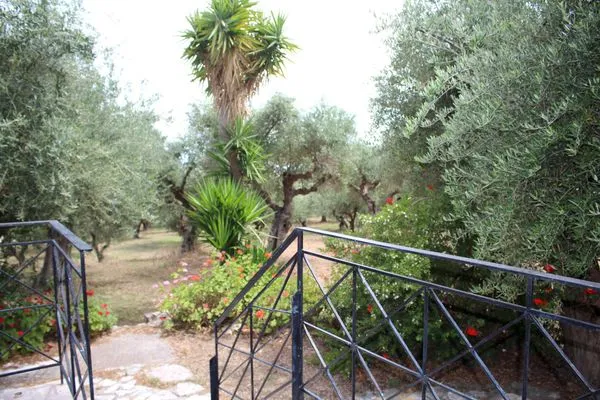 Garden view  Spourgitis 3a