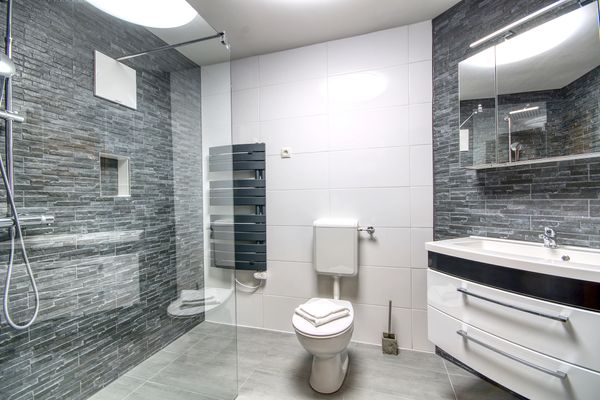 Haus Kitzsteinhorn Top 7  - Bathroom