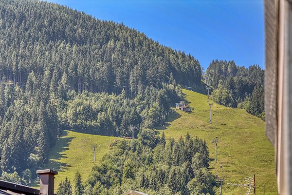  Appartement Hensel Zell am See - Sport / Aktivitäten