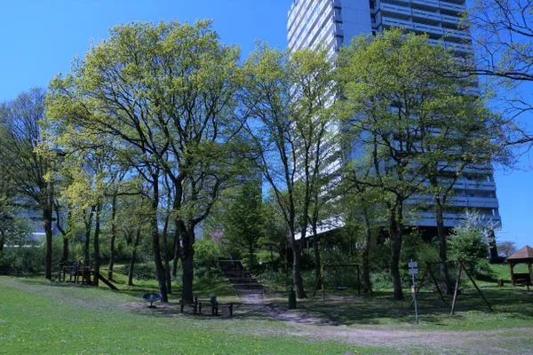 Nachbarschaft Panoramic App. A06-5