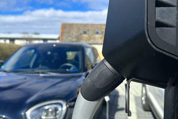 Ferienhaus "Q" - Wohnung 1 Zingst - Garten