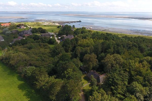  Haus Amrhein Nebel - 